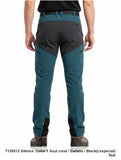 Pantalón de montaña hombre Sphere Silence 7126012 azul coral y carbón, vista trasera