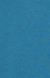 Muestra del color azul petróleo del chándal Champion SWEATSUIT 221786 BS133