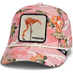 Gorra GOORIN BROS animales Randy Souse Flamingo 1910 Cor 