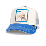 Gorra GOORIN BROS animales The Fuerte Dog Chihuahua 1951
