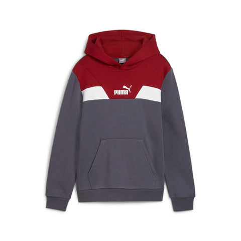 Sudadera niño PUMA POWER COLORBLOC capucha 681849 69 gris