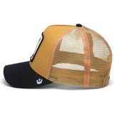 Gorra GOORIN BROS The Wildcat tigre 101-1757