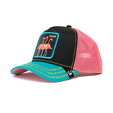 Gorra GOORIN BROS animales Flamingoalls 101-0165