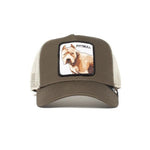 Gorra trucker Goorin Bros. Pitbull dog perro 101-0621 - Puber Sports