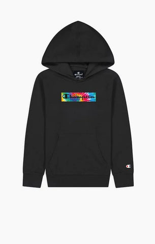 Sudadera CHAMPION HOODED SWEATSHIRT 305926s22